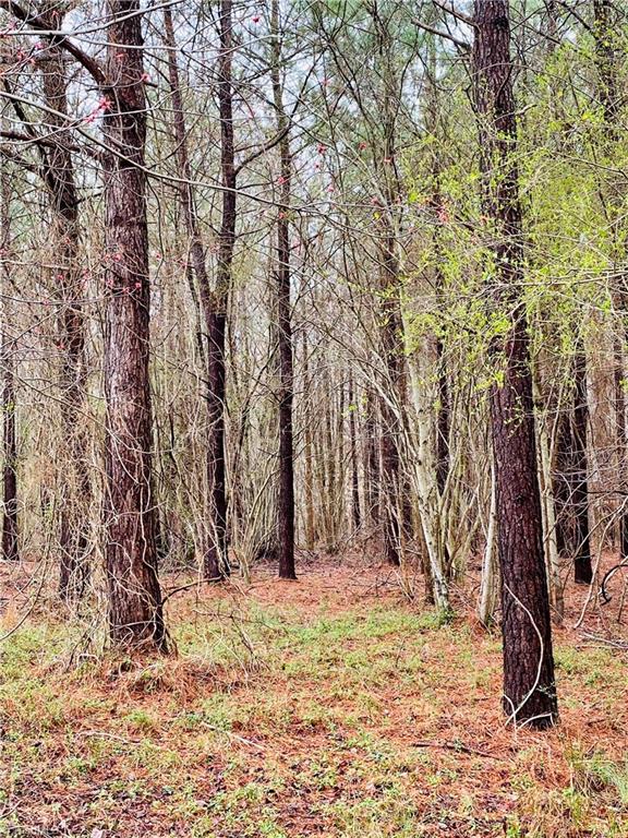 0 Roby Coe Road Ramseur, NC 27316 - Photo 17 of 33 Gallery Image 17