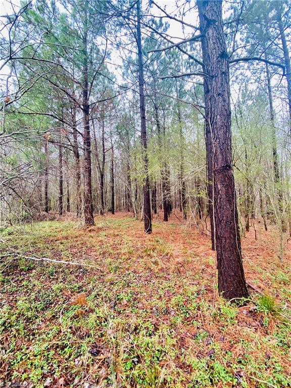 0 Roby Coe Road Ramseur, NC 27316 - Photo 19 of 33 Gallery Image 19