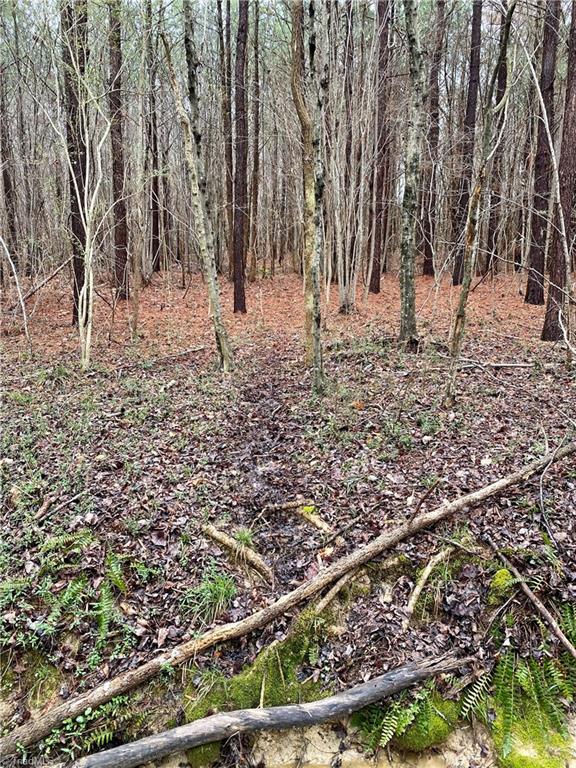 0 Roby Coe Road Ramseur, NC 27316 - Photo 20 of 33 Gallery Image 20