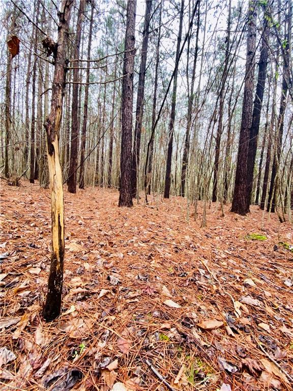 0 Roby Coe Road Ramseur, NC 27316 - Photo 21 of 33 Gallery Image 21