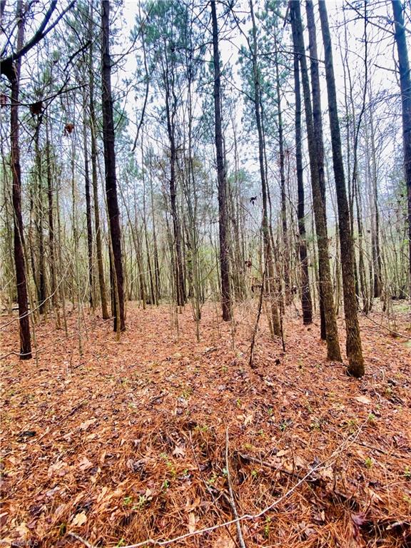 0 Roby Coe Road Ramseur, NC 27316 - Photo 24 of 33 Gallery Image 24