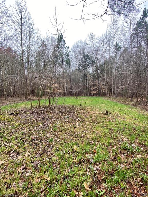 0 Roby Coe Road Ramseur, NC 27316 - Photo 26 of 33 Gallery Image 26