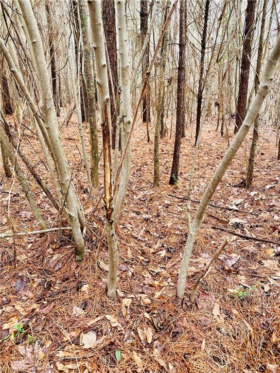 0 Roby Coe Road Ramseur, NC 27316 - Photo 27 of 33 Gallery Image 27