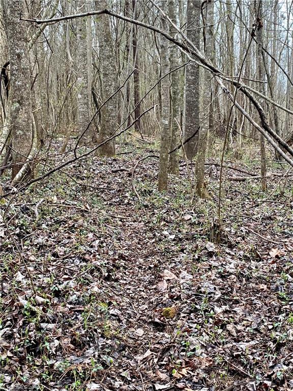 0 Roby Coe Road Ramseur, NC 27316 - Photo 28 of 33 Gallery Image 28