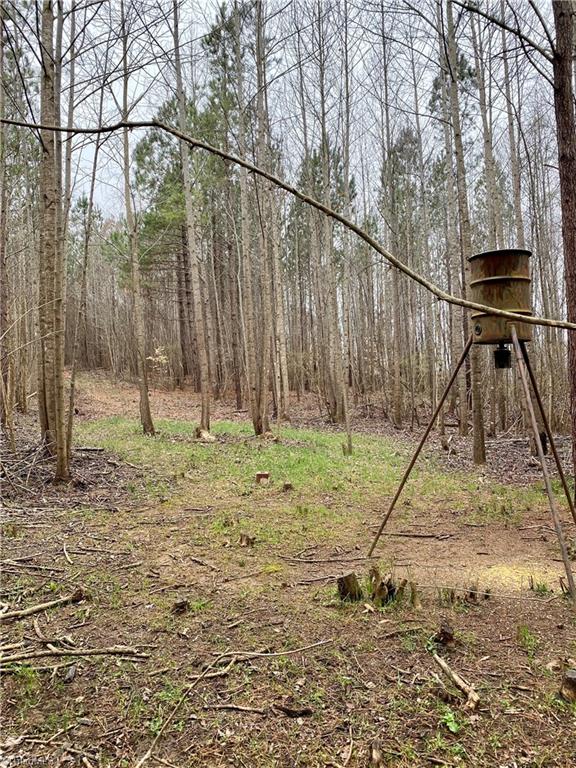 0 Roby Coe Road Ramseur, NC 27316 - Photo 29 of 33 Gallery Image 29