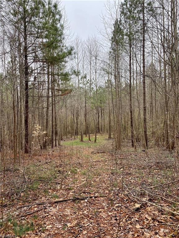 0 Roby Coe Road Ramseur, NC 27316 - Photo 30 of 33 Gallery Image 30