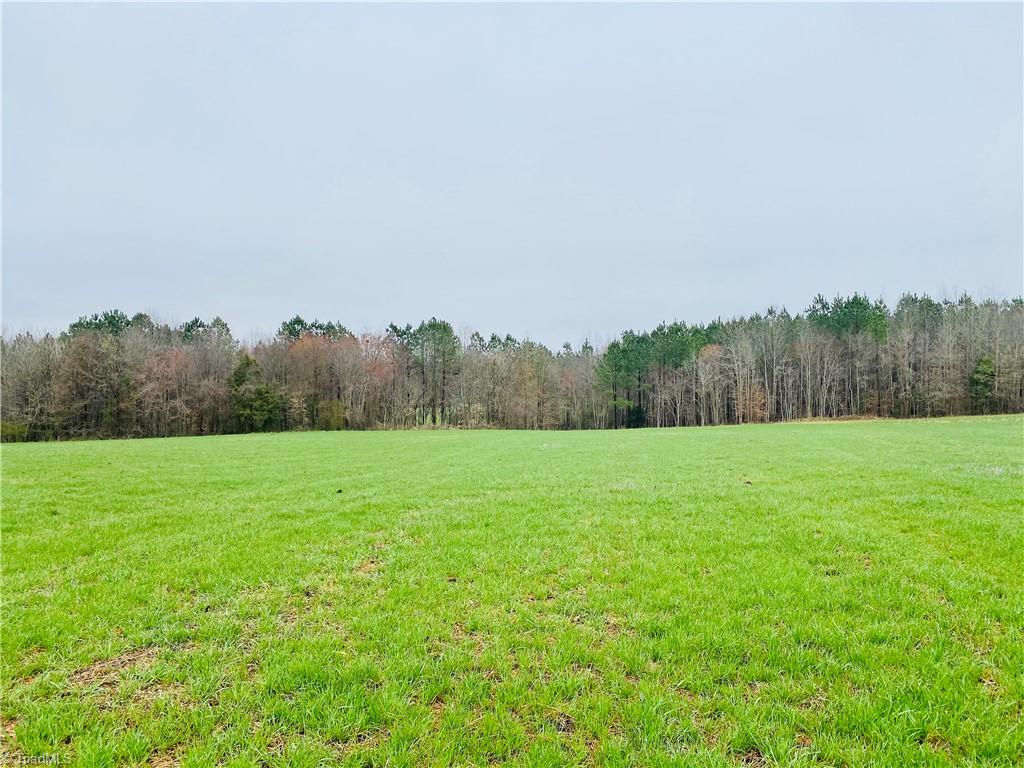 0 Roby Coe Road Ramseur, NC 27316 - Photo 4 of 33 Gallery Image 4