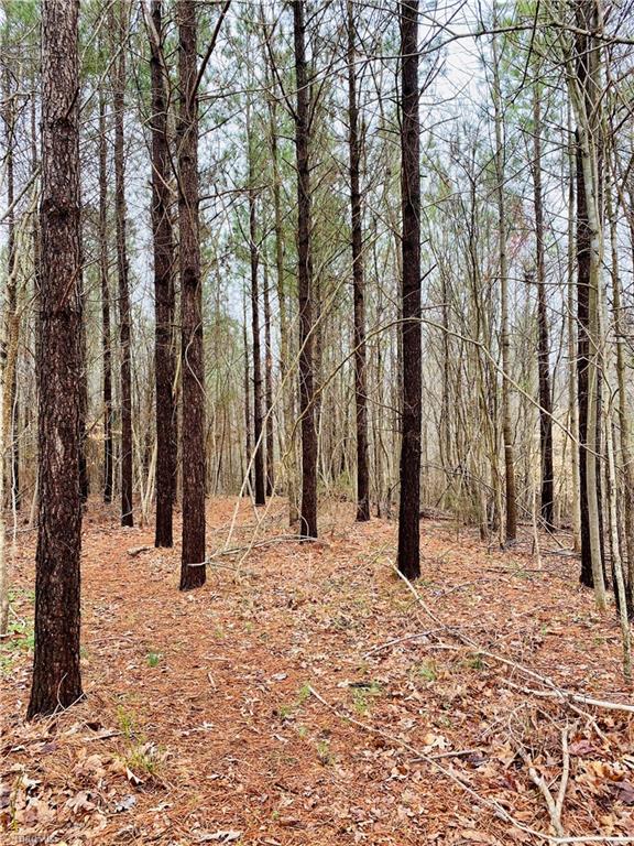 0 Roby Coe Road Ramseur, NC 27316 - Photo 31 of 33 Gallery Image 31