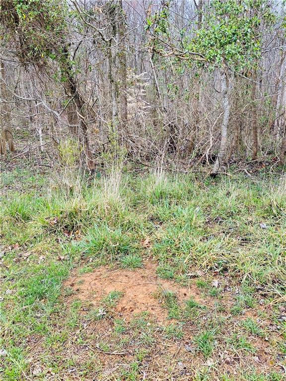 0 Roby Coe Road Ramseur, NC 27316 - Photo 32 of 33 Gallery Image 32
