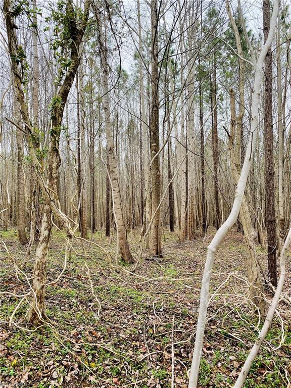 0 Roby Coe Road Ramseur, NC 27316 - Photo 33 of 33 Gallery Image 33
