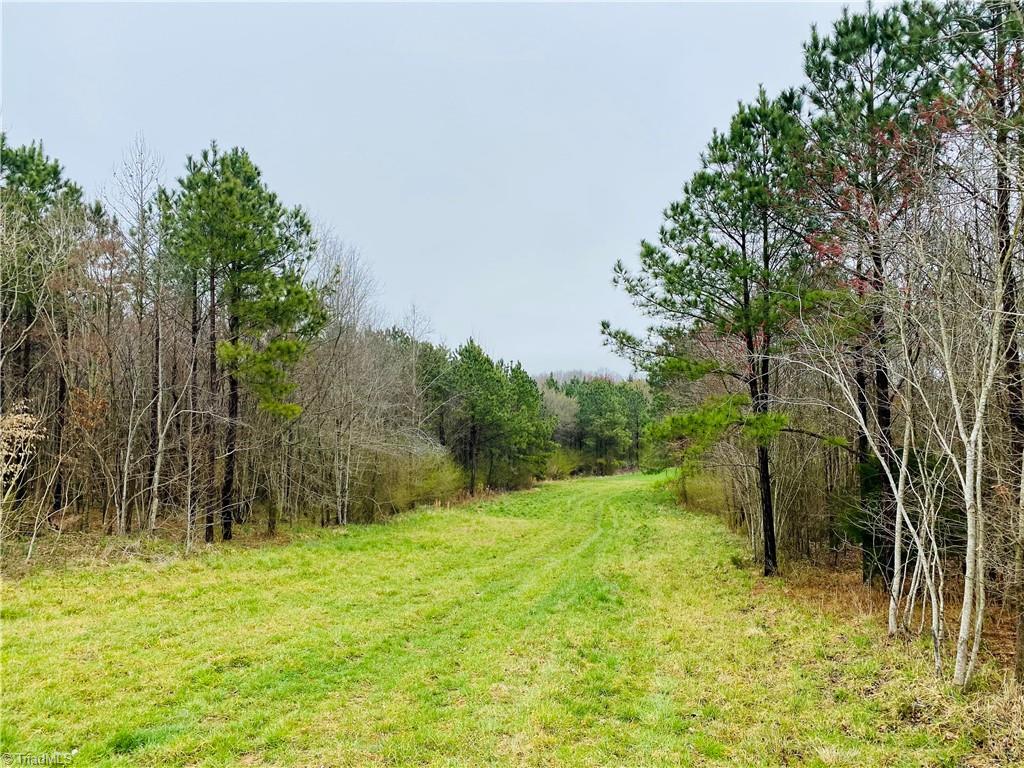 0 Roby Coe Road Ramseur, NC 27316 - Photo 7 of 33 Gallery Image 7