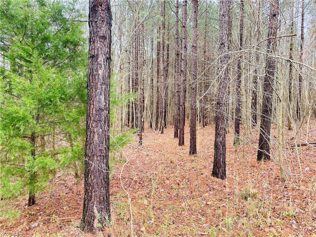 0 Roby Coe Road Ramseur, NC 27316 - Photo 8 of 33 Gallery Image 8