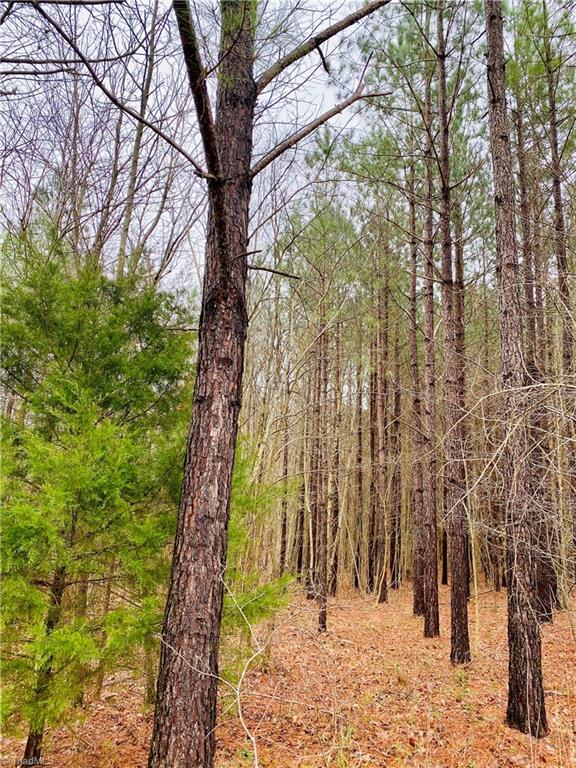 0 Roby Coe Road Ramseur, NC 27316 - Photo 9 of 33 Gallery Image 9