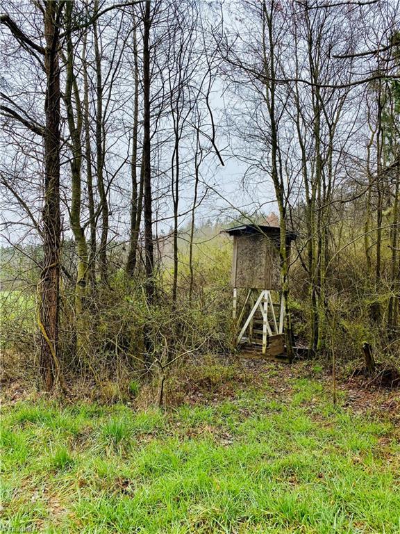 0 Roby Coe Road Ramseur, NC 27316 - Photo 10 of 33 Gallery Image 10