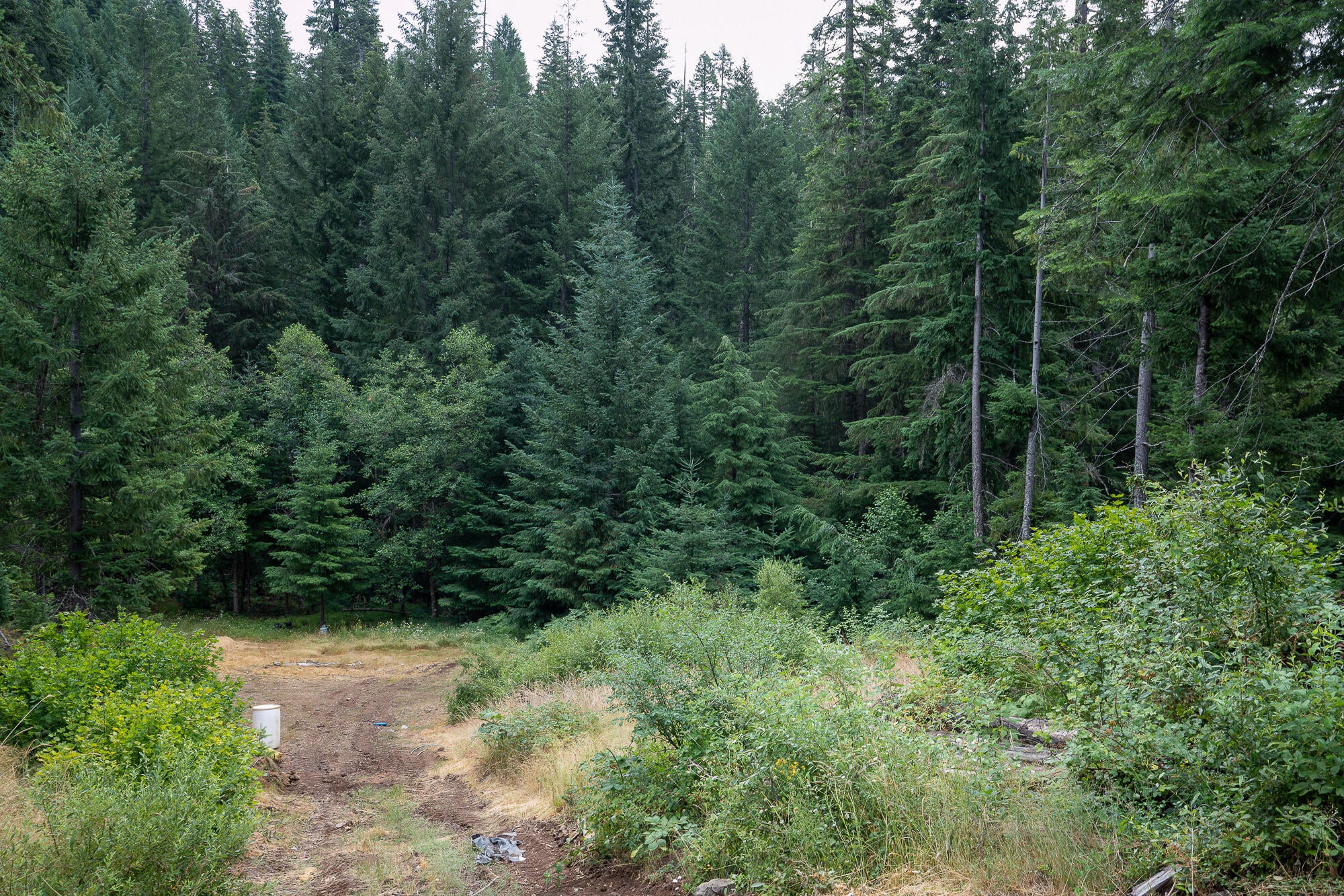 14083 Elk Creek Road Trail, OR 97541 - Photo 20 of 21 Pic 21