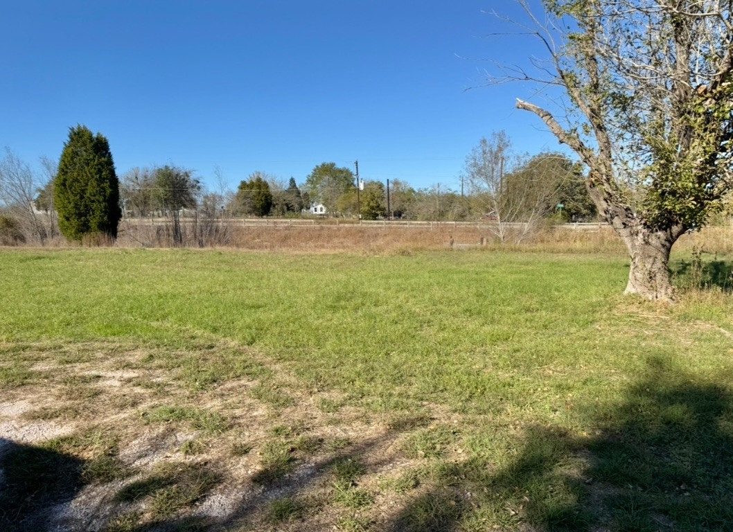 233 Farm To Market 696 Elgin, TX 78621 - Photo 27 of 28 a view of a field with an trees