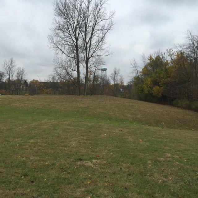 0 Harriott Road Dublin, OH 43017 - Photo 3 of 3