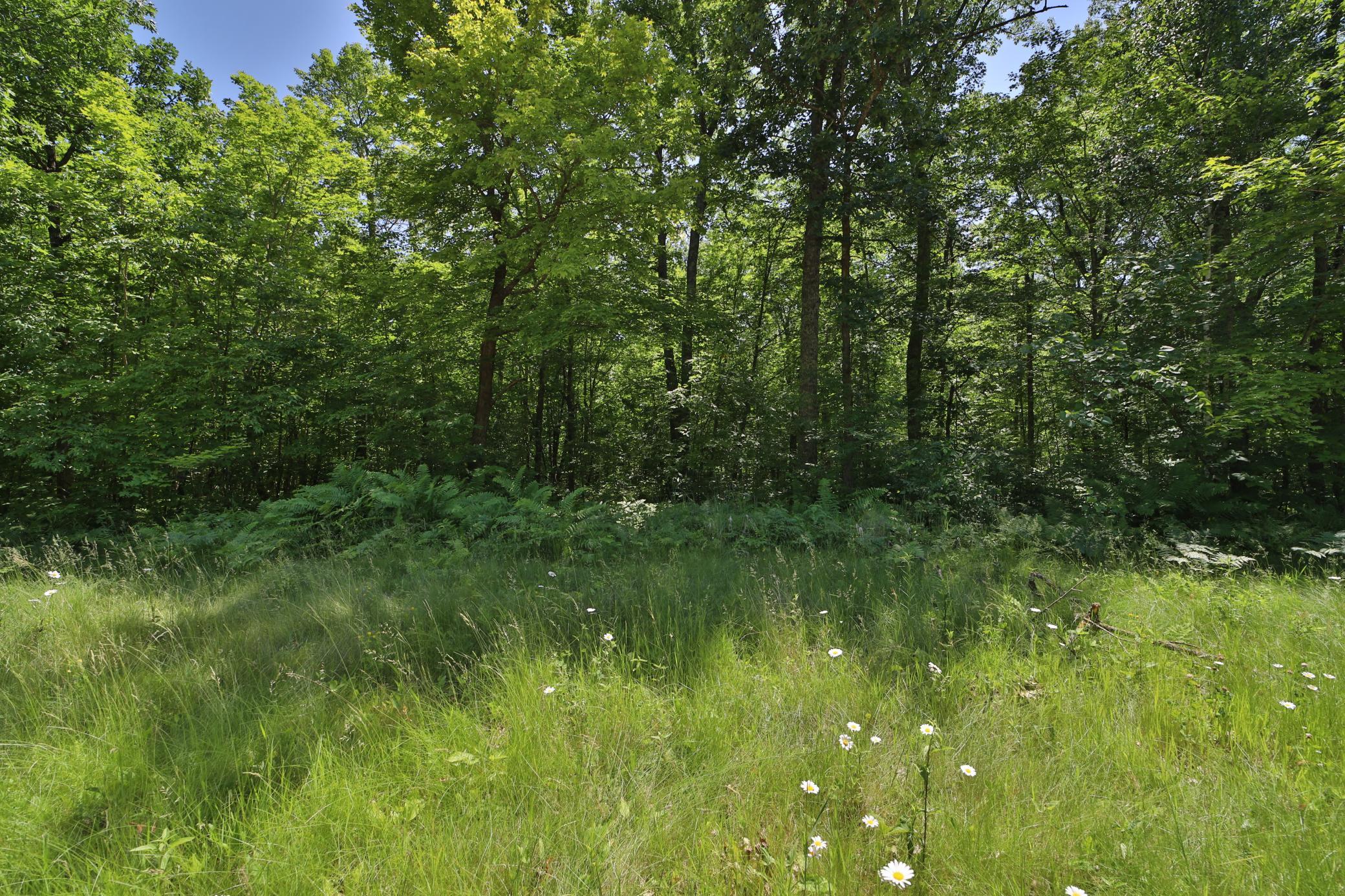 Tract D Olander Road Crosby, MN 56441 - Photo 1 of 11 Gallery Image 1