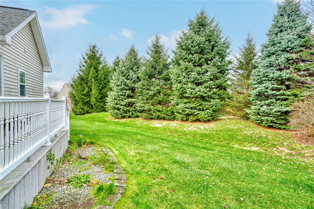 1082 Railway Crossing Webster, NY 14580 - Photo 39 of 43 BACKYARD WITH EVERGREEN TREE PRIVACY BORDER