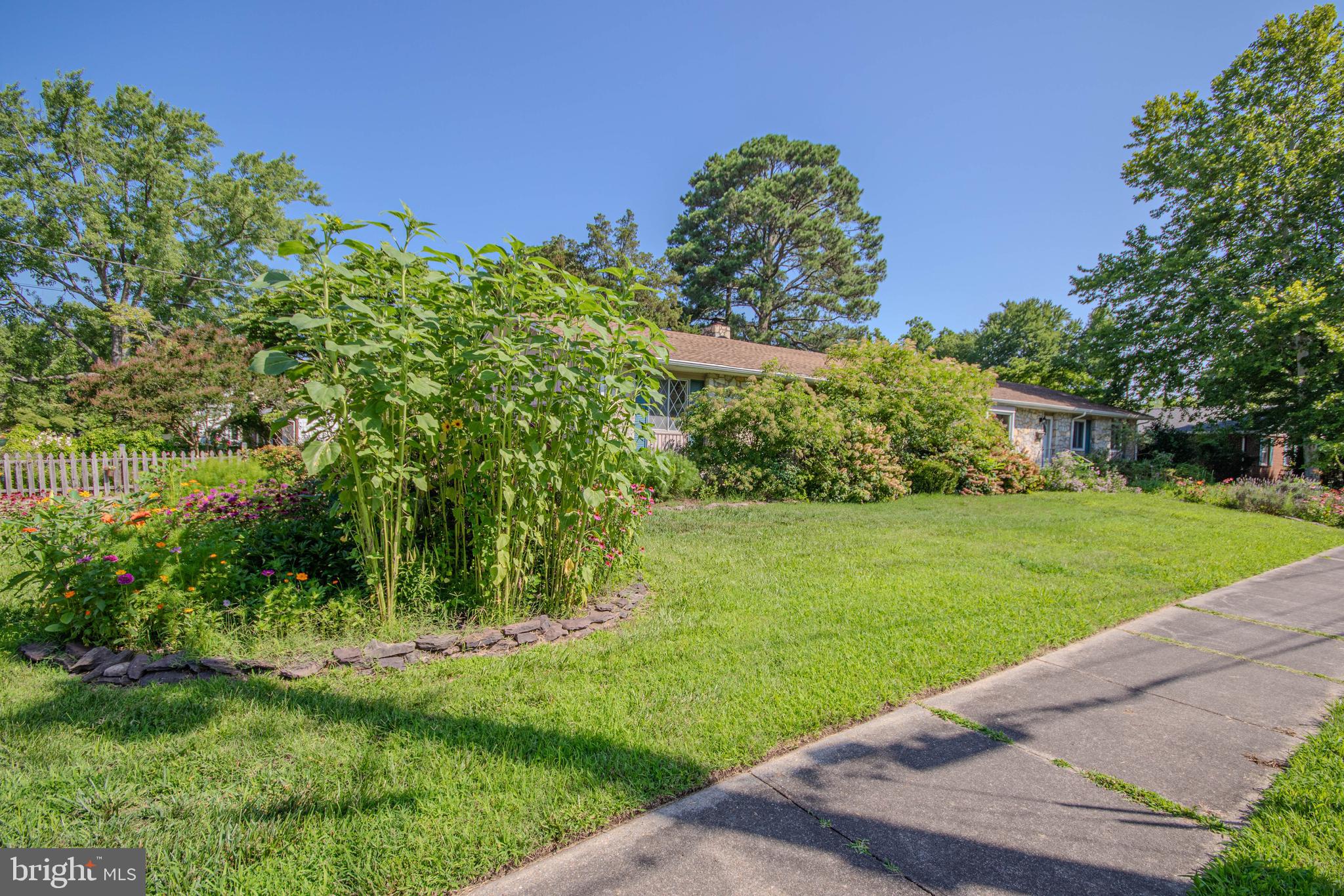 816 Riverside Drive Salisbury, MD 21801 - Photo 60 of 61 Gallery Image 60