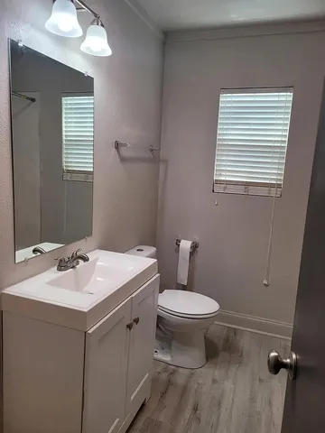 a bathroom with a sink toilet and mirror