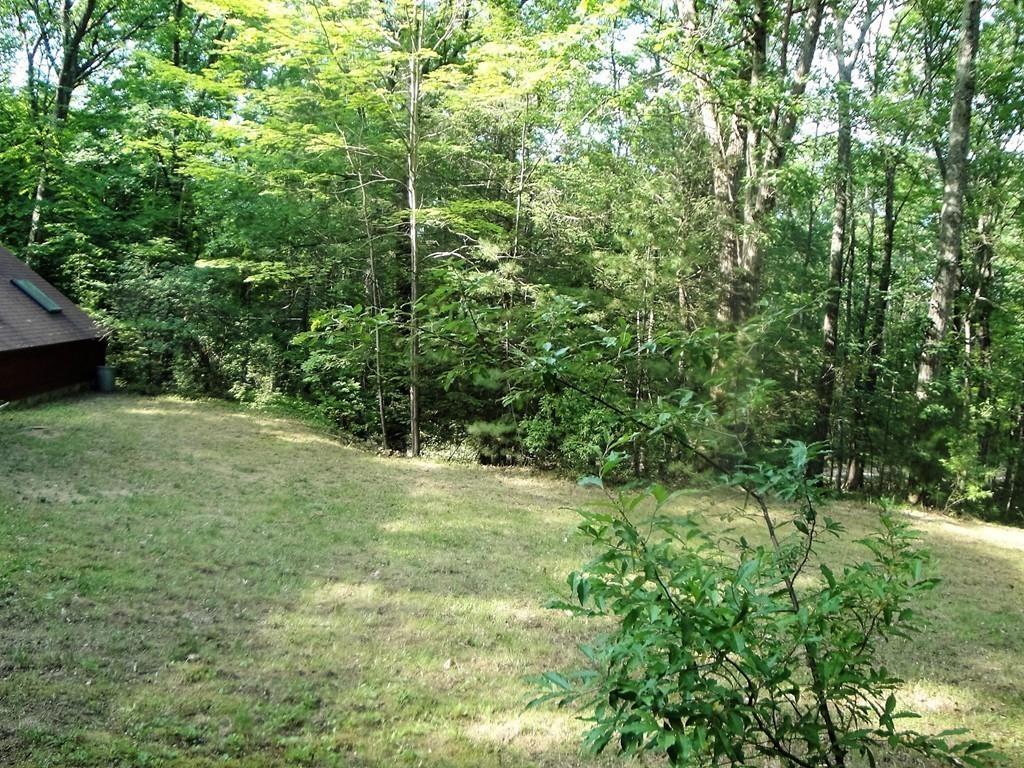 7 Carey Road Sturbridge, MA 01566 - Photo 23 of 27 a view of a yard with a tree