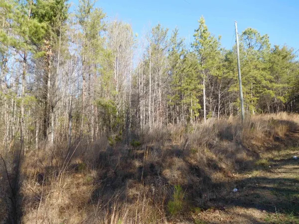 $750,000 | Tbd Tbd Leadmine Road, Columbia, SC 29209