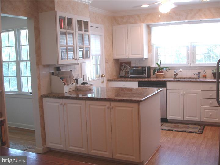 1079 Squirrel Road Jenkintown, PA 19046 - Photo 6 of 19 Kitchen