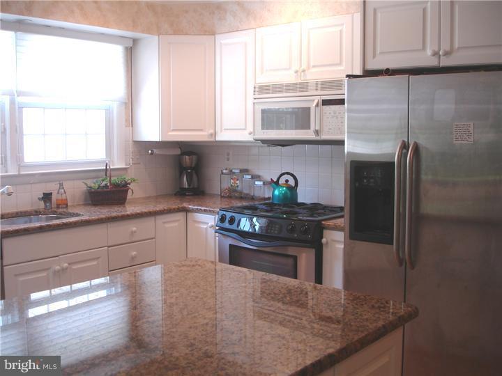 1079 Squirrel Road Jenkintown, PA 19046 - Photo 7 of 19 Kitchen