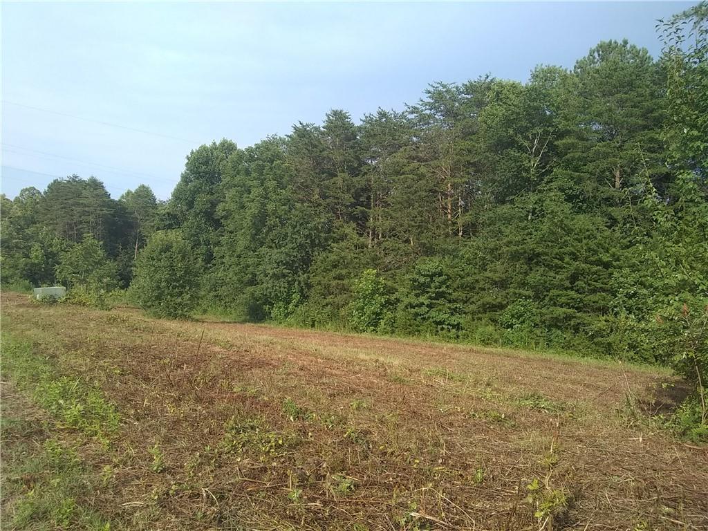 1198 Airport Rhodhiss Road, Unit 1 Hickory, NC 28601 - Photo 11 of 18 Gallery Image 11