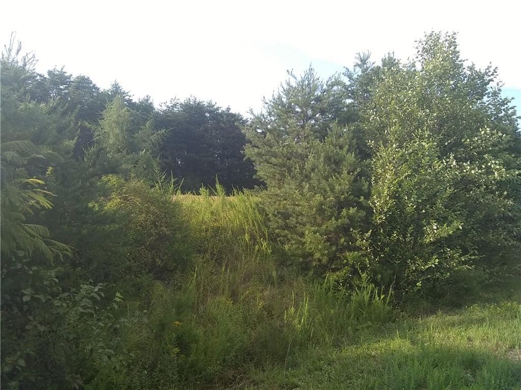 1198 Airport Rhodhiss Road, Unit 1 Hickory, NC 28601 - Photo 10 of 18 Gallery Image 10