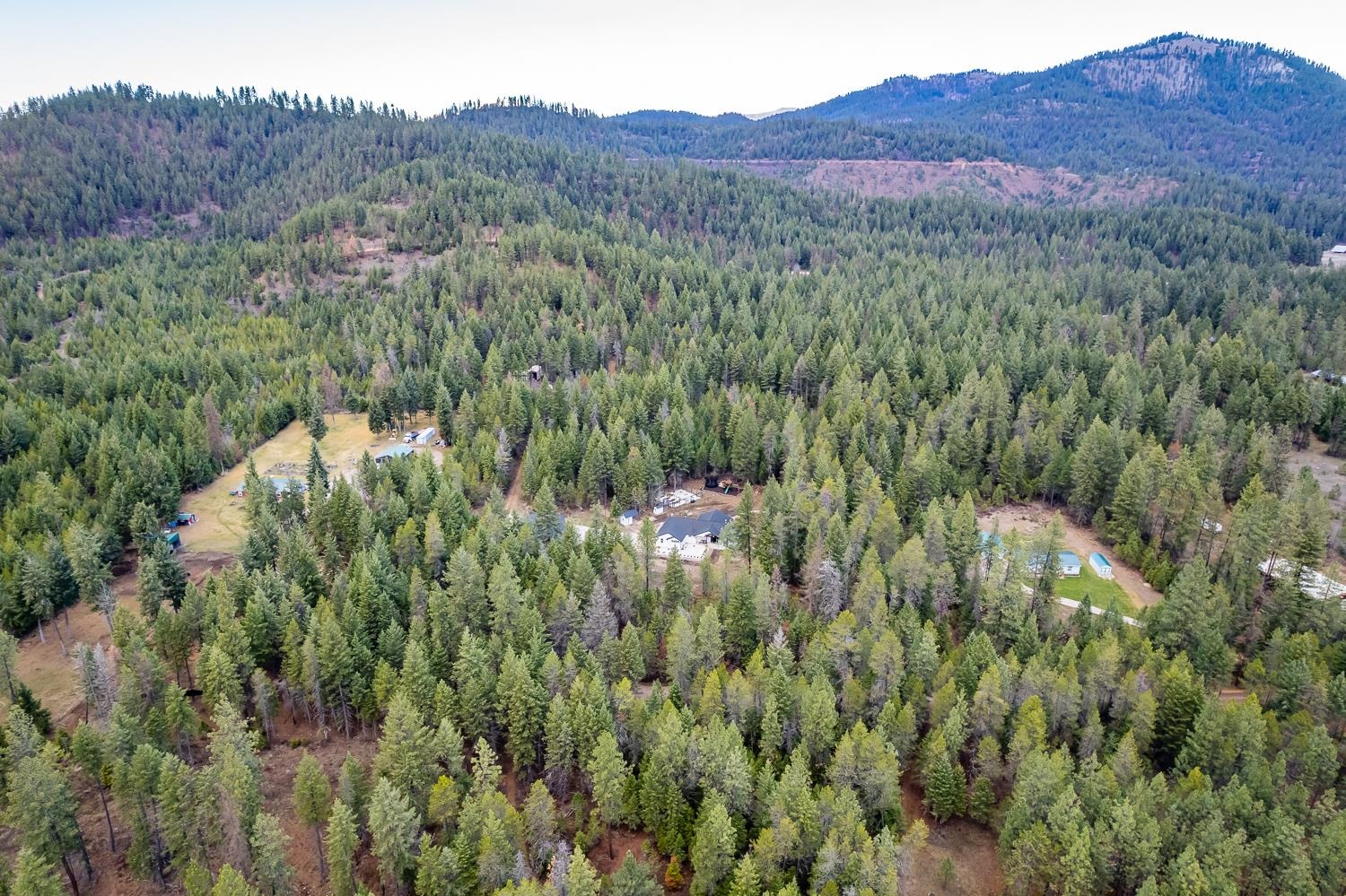 3858 D White Pine Road Loon Lake, WA 99148 - Photo 45 of 48