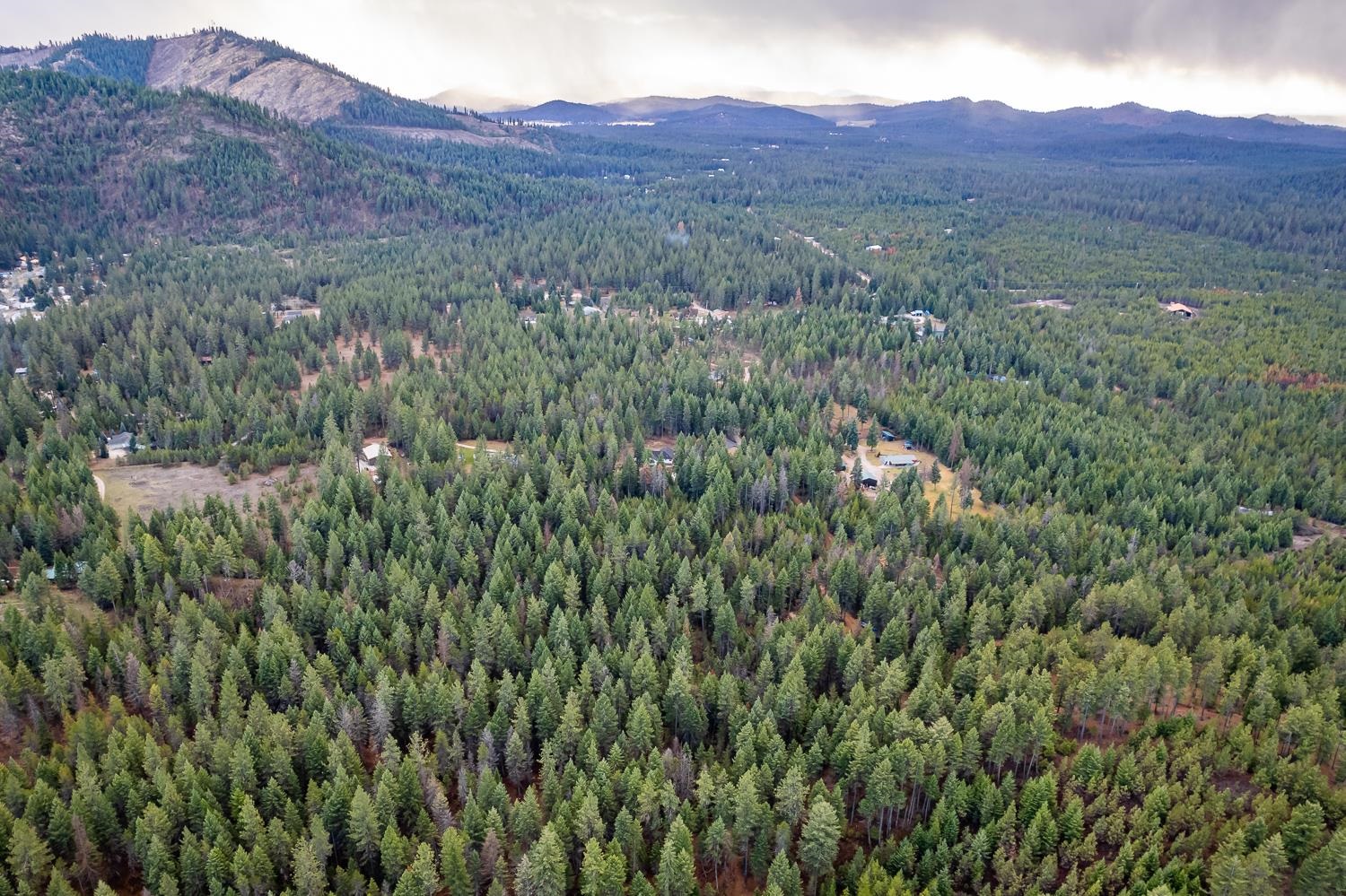 3858 D White Pine Road Loon Lake, WA 99148 - Photo 46 of 48