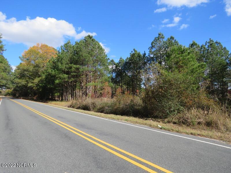 0 Lovette Road Lumberton, NC 28358 - Photo 9 of 39 IMG_6281