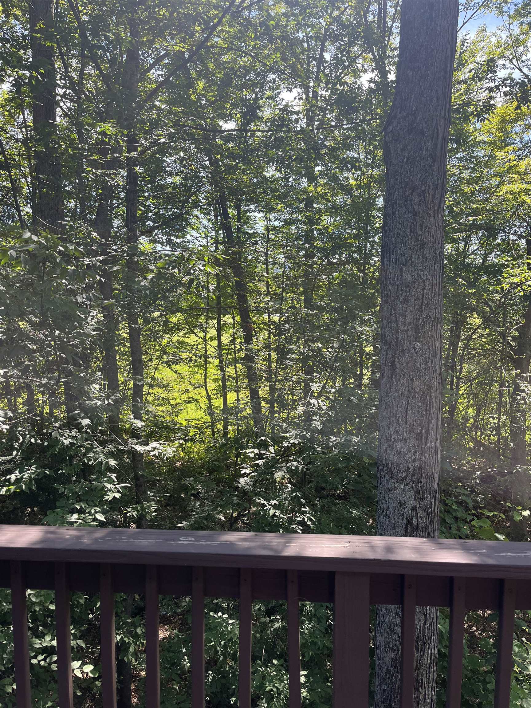445 Old Quechee Road, Unit 10A Hartford, VT 05059 - Photo 21 of 21 Gallery Image 21
