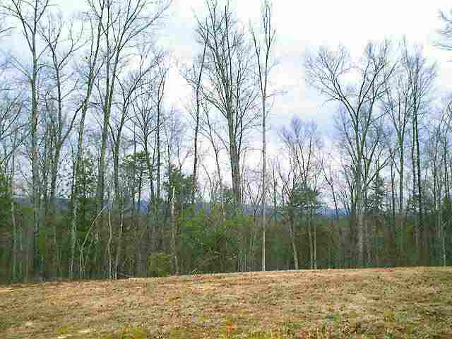 110 Davis Road Tamassee, SC 29686 - Photo 3 of 9 Gallery Image 3