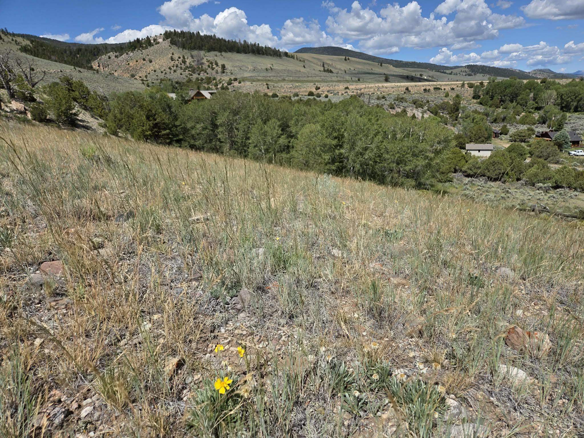 183 Bald Mountain Road Dubois, WY 82513 - Photo 17 of 48