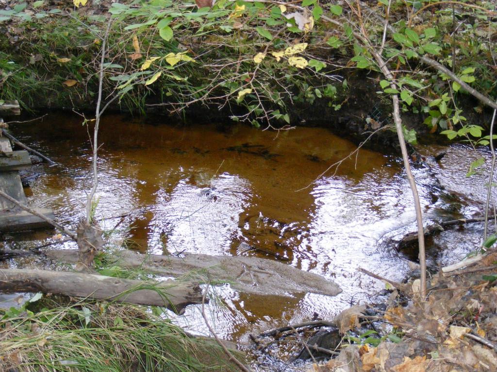 960 New County Road Biddeford, ME 04005 - Photo 10 of 35 Photo