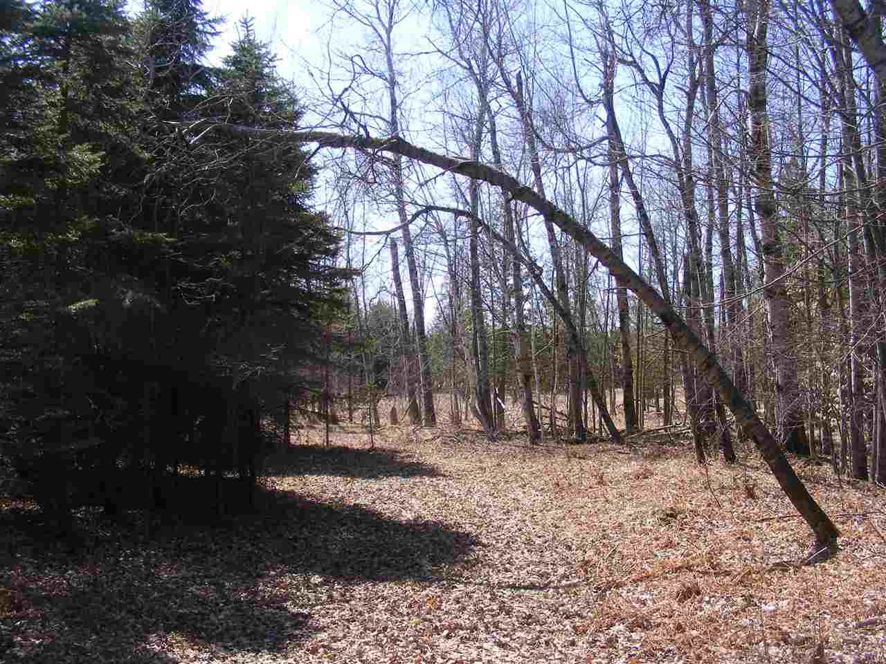 2040 East 2 1/2 Road Kingsley, MI 49649 - Photo 38 of 47 1843797-37.JPG