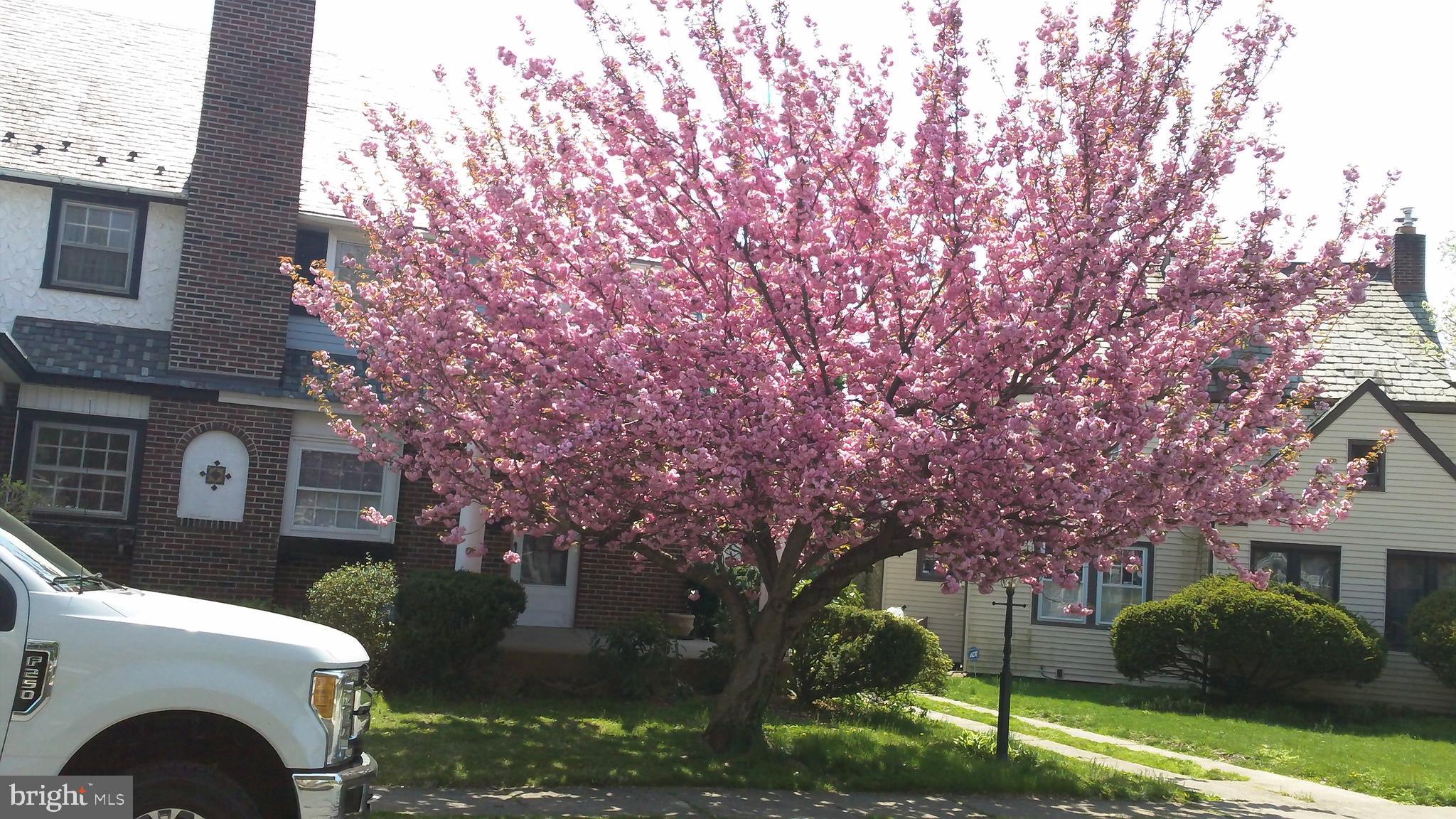 130 Gladstone Road Lansdowne, PA 19050 - Photo 2 of 34 Exterior front