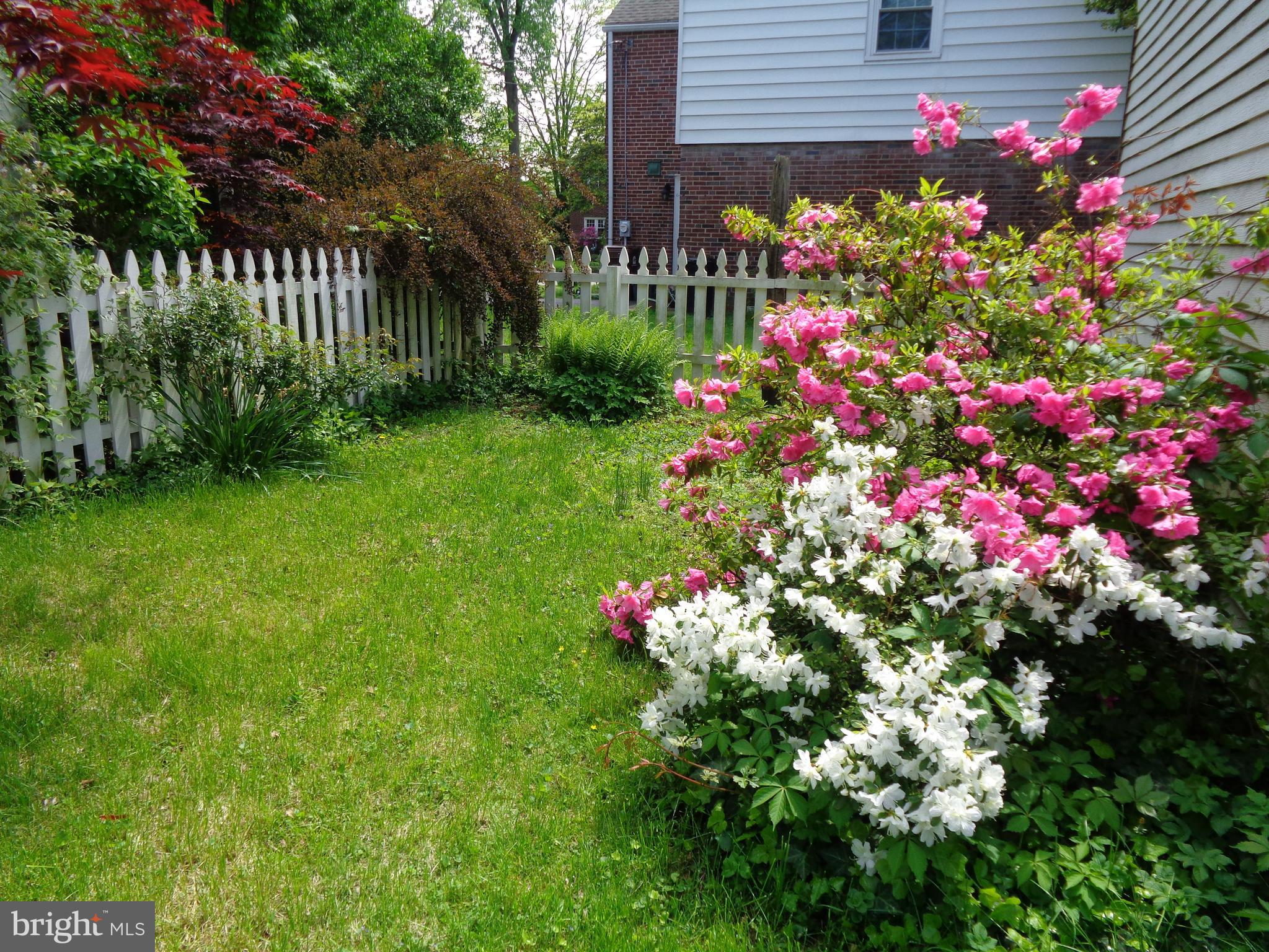 130 Gladstone Road Lansdowne, PA 19050 - Photo 32 of 34 Back yard