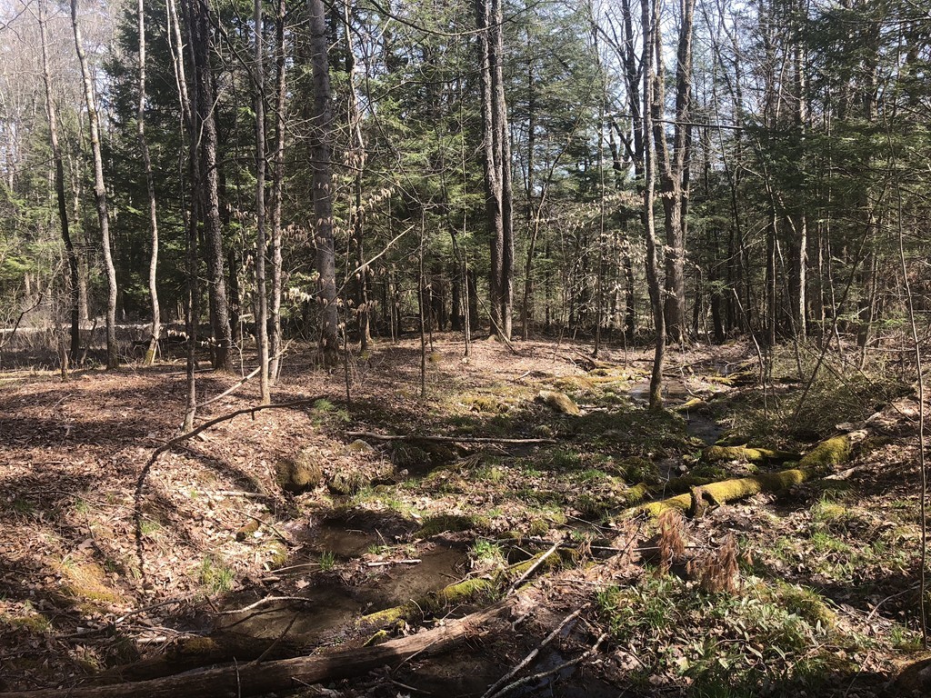 0 Mount Road Cummington, MA 01026 - Photo 19 of 22 Gallery Image 19