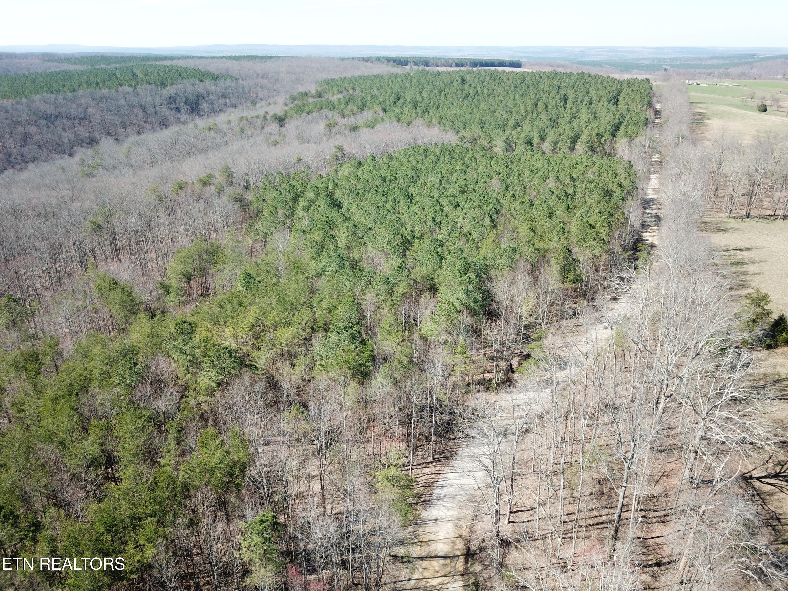 Buckridge Road Crossville, TN 38572 - Photo 2 of 26 DJI_0060