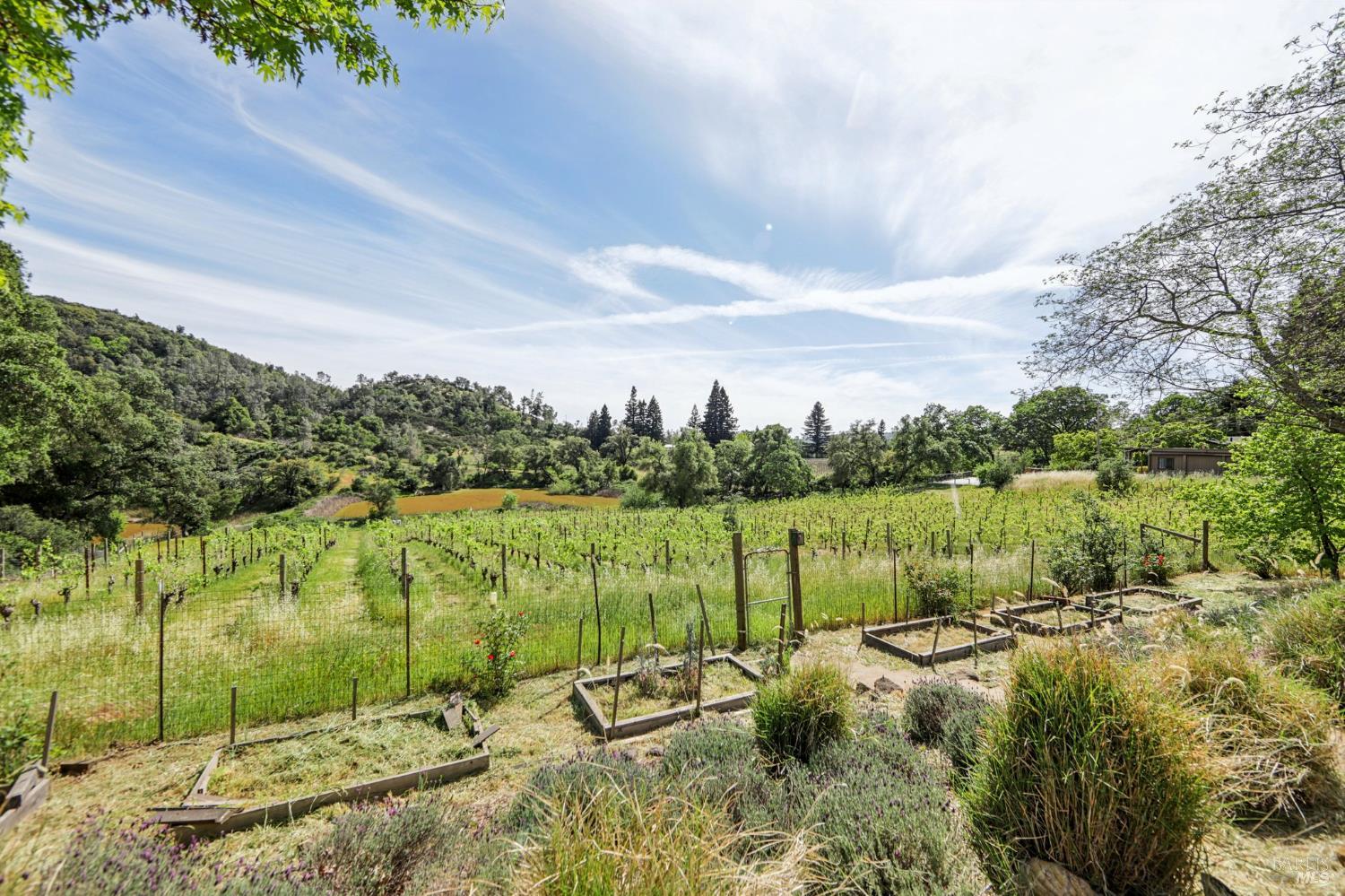 4084 Atlas Peak Road, Unit RV Napa, CA 94558 - Photo 59 of 96