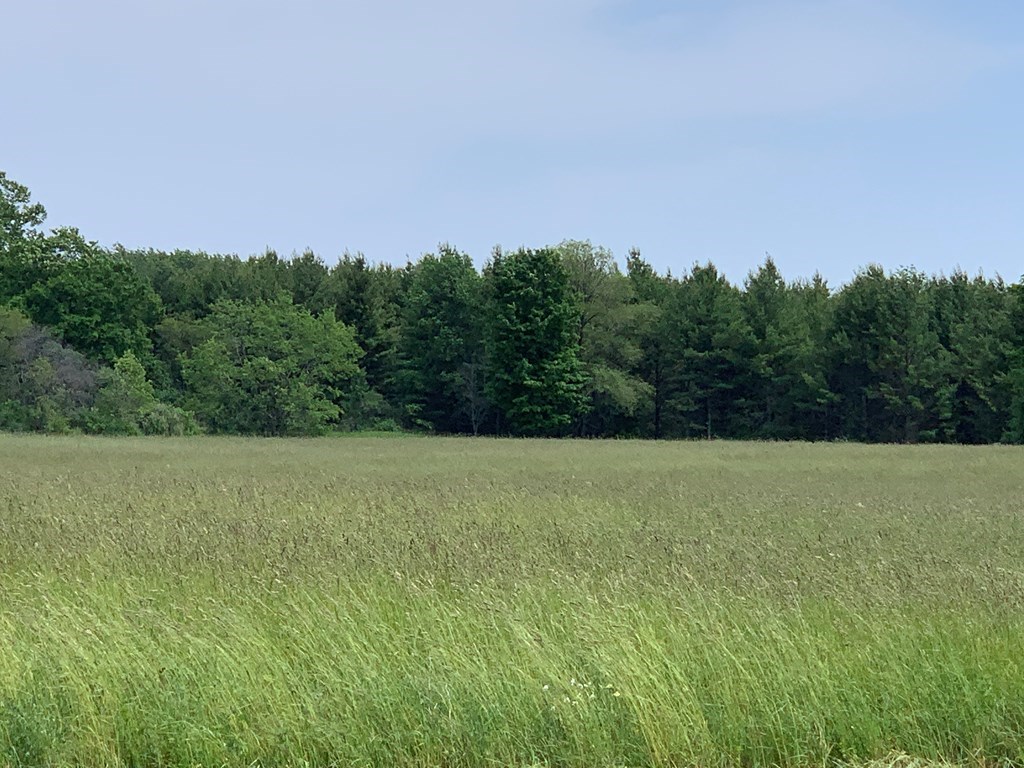 South Highland Road Sister Bay, WI 54234 - Photo 8 of 9 Gallery Image 8