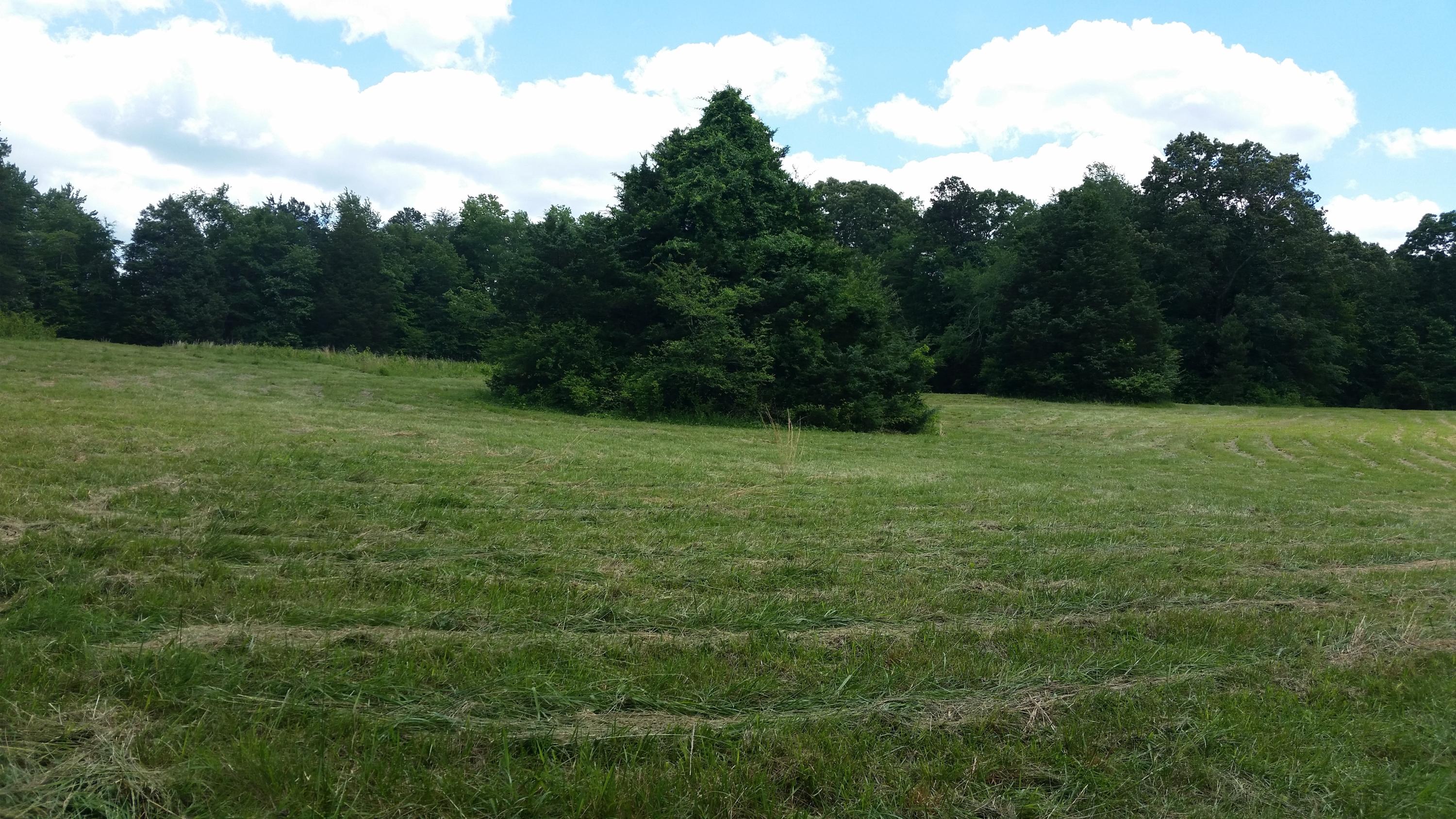 5625 Hunter Road Ooltewah, TN 37363 - Photo 14 of 17 20170525_135707 (2)