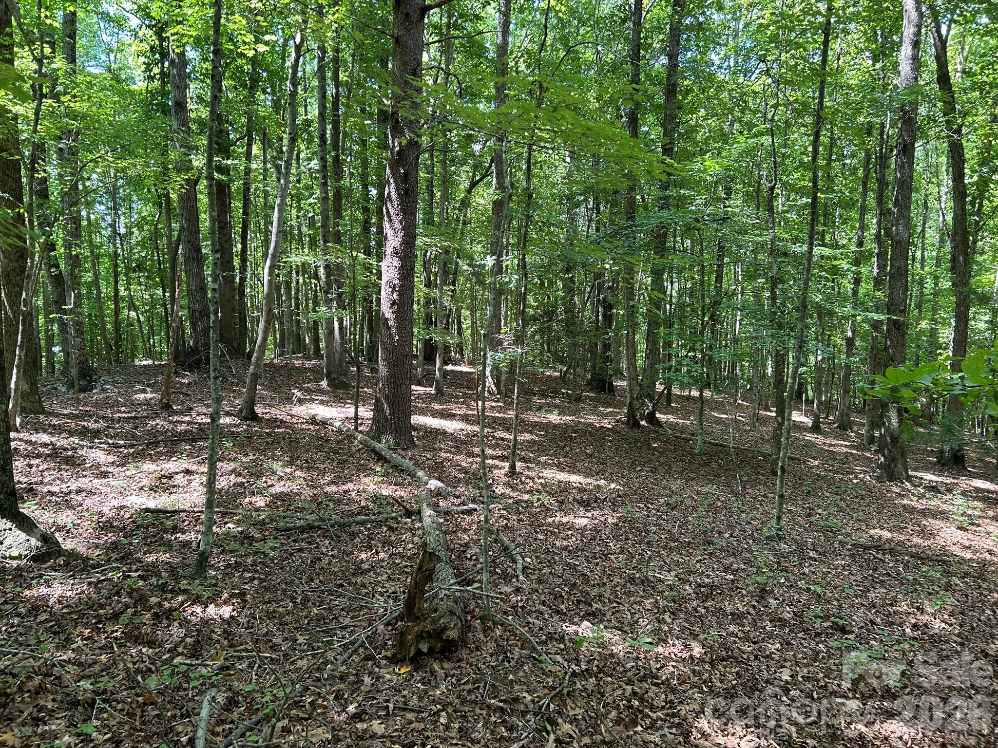 0 Wilderness Ridge, Unit 4 Rutherfordton, NC 28139 - Photo 11 of 11