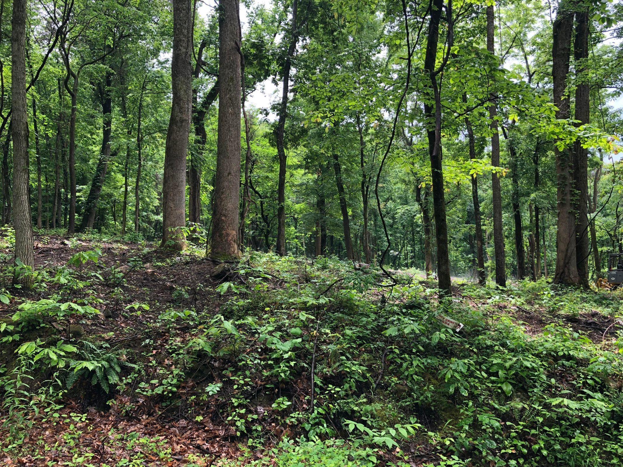 Blowing Cave Rd Road Sevierville, TN 37876 - Photo 1 of 2 Main