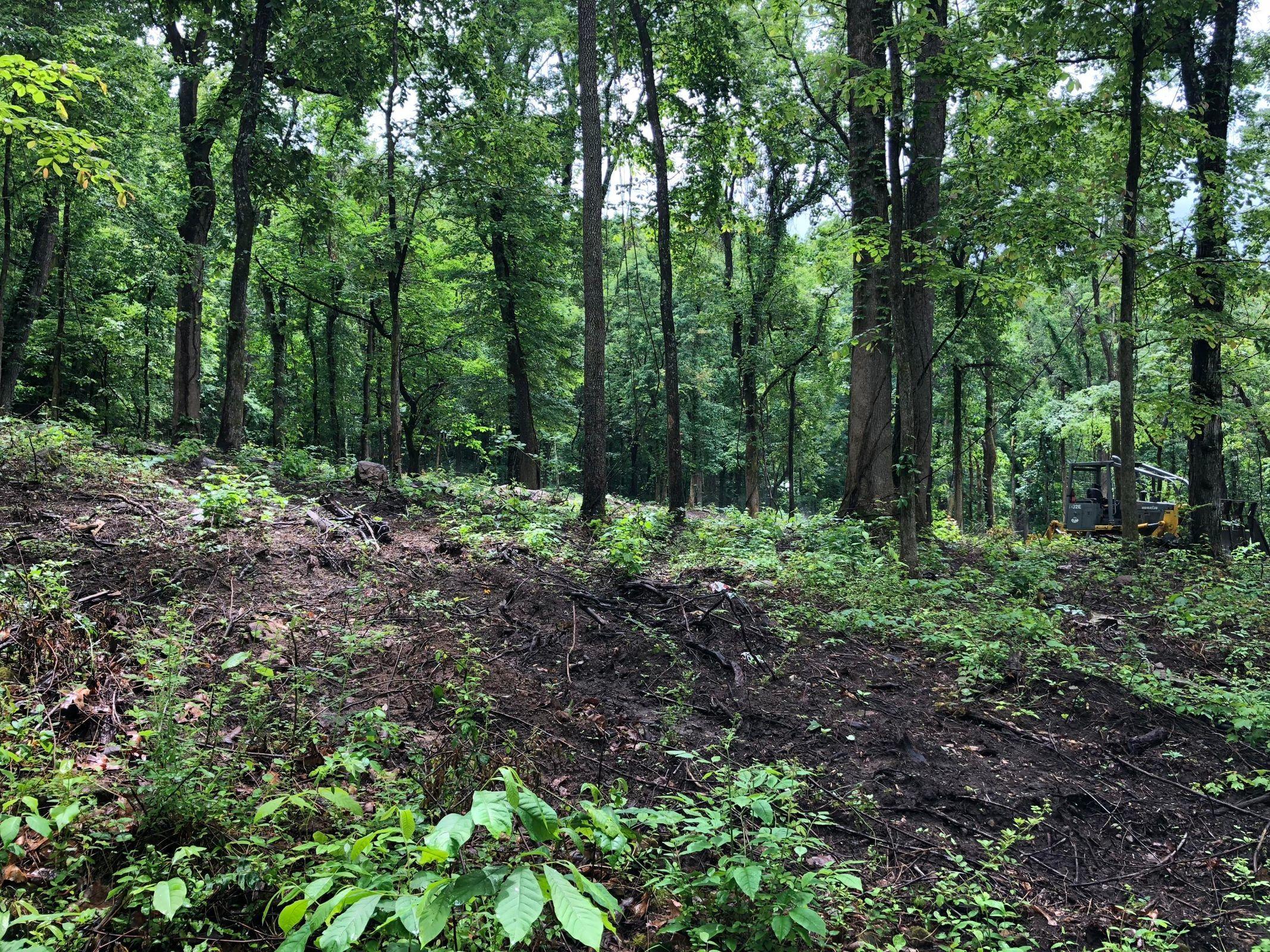Blowing Cave Rd Road Sevierville, TN 37876 - Photo 2 of 2 Wooded lot
