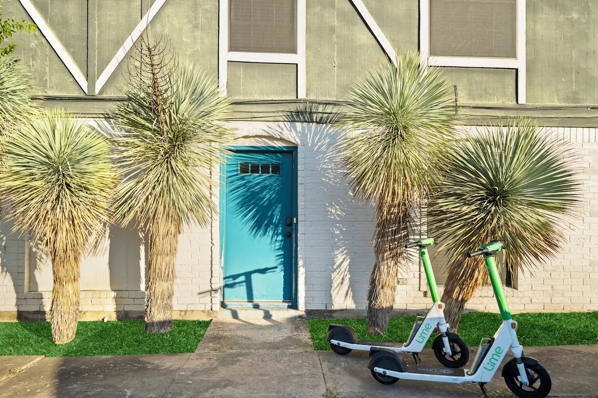 3507 Alpine Circle Austin, TX 78704 - Photo 6 of 30 a view of a palm trees in front of a house